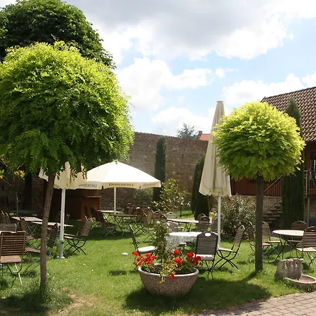 Hotel Dohlmühle Gästehaus&weingut 3*