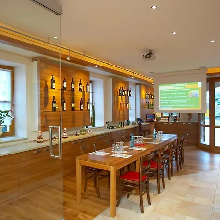 Hotel Dohlmühle Gästehaus&weingut 3*