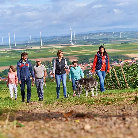 Hotel Dohlmuehle & Weingut Flonheim