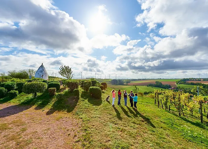 Dohlmuehle Landhotel & Restaurant מלון פלונהיים
