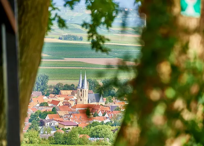 Hotel Dohlmuehle & Restaurant Flonheim