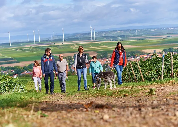 Hotel Dohlmuehle & Restaurant Flonheim
