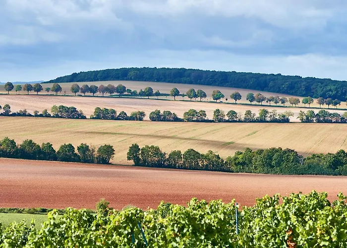 Dohlmuehle & Restaurant
