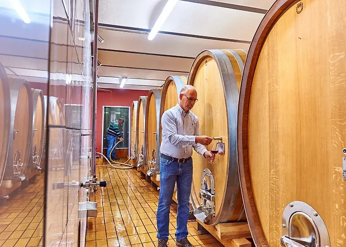 Dohlmuehle Landhotel & Restaurant מלון פלונהיים